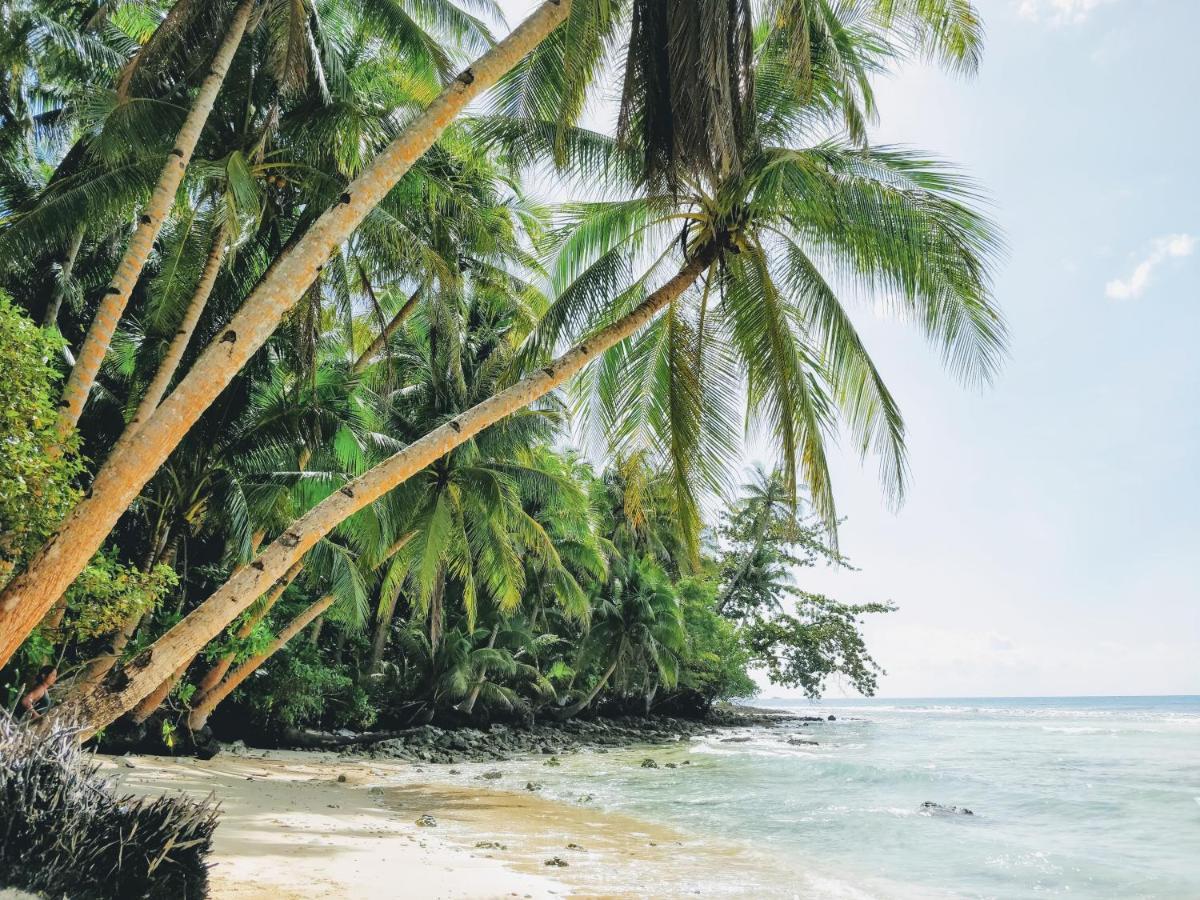 Mao Mao Surf Villa General Luna  Luaran gambar